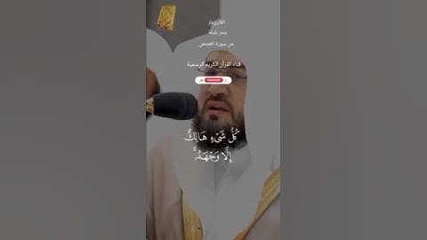 #ماتيسر_من سورة القصص بصوت القارئ الشيخ بندر بليله قناه القرآن الكريم الرسمية