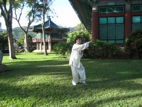 2nd Section Dong (Tung) Taichi Long Form