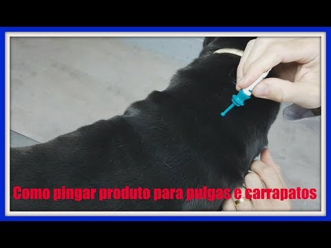 Vídeo: Estudo De Campo Randomizado, Cego E Controlado Nos EUA Para Avaliar O Uso Da Solução Tópica De Fluralaner No Controle De Infestações Por Pulgas Caninas