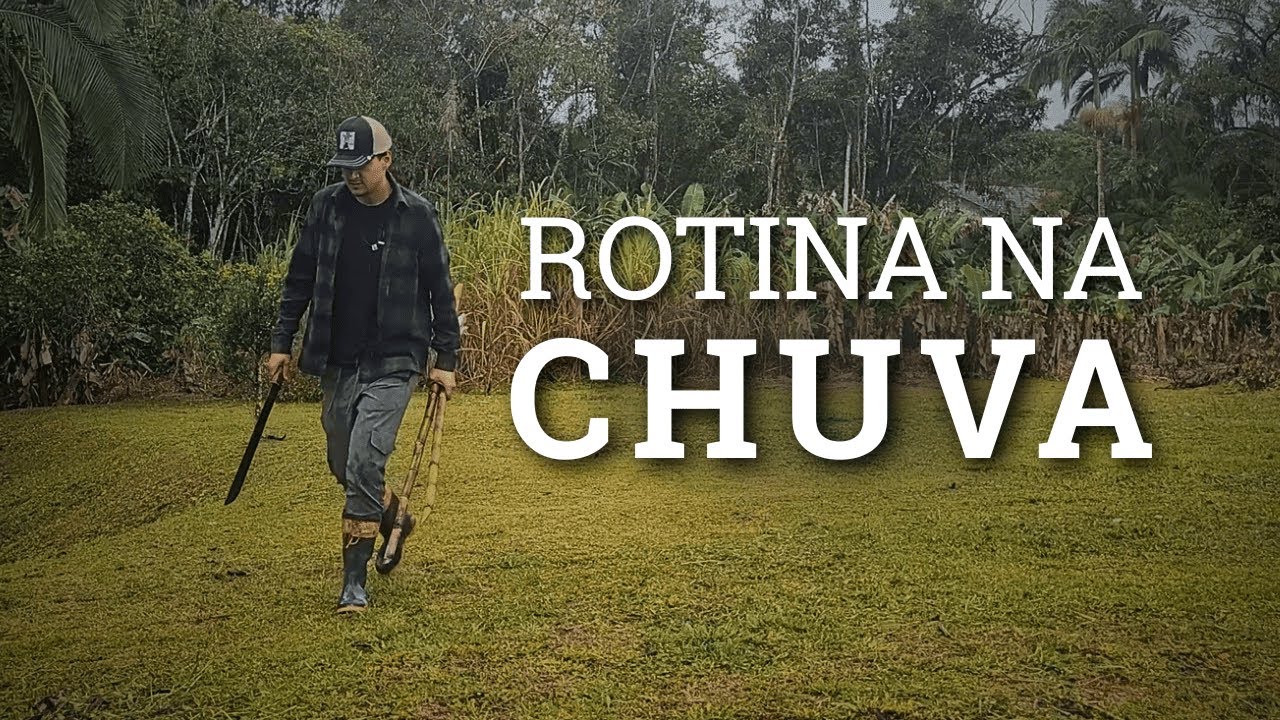 Um dia chuvoso no campo 🌧️🌾