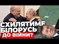 Путін провів переговори з Лукашенком: про що говорили диктатори?