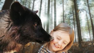 ARE WOLFDOGS DANGEROUS TO KIDS?