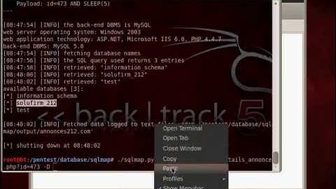 Copie de How To Hack a WebSite Using BackTrack 5 {SqlMap}