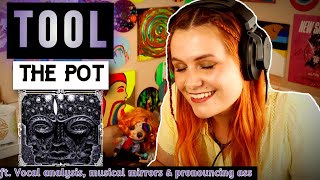 Vocal Coach analysis of TOOL - The Pot