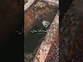 Ya Suna ha 🤲💕 #islamicstoriesinurduandhindi #islamicshorts #islamicstatus#islamicvideo #islamicvideo