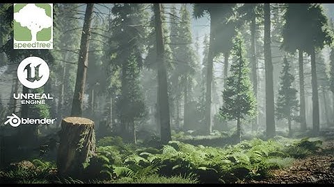 How to create a Forest with PCG in Unreal Engine 5.5