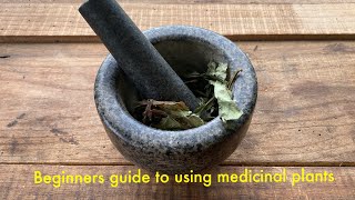 Beginners guide to processing and using medicinal plants