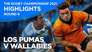 Los Pumas v Wallabies Highlights | Round Six | The Rugby Championship |  2021 - YouTube