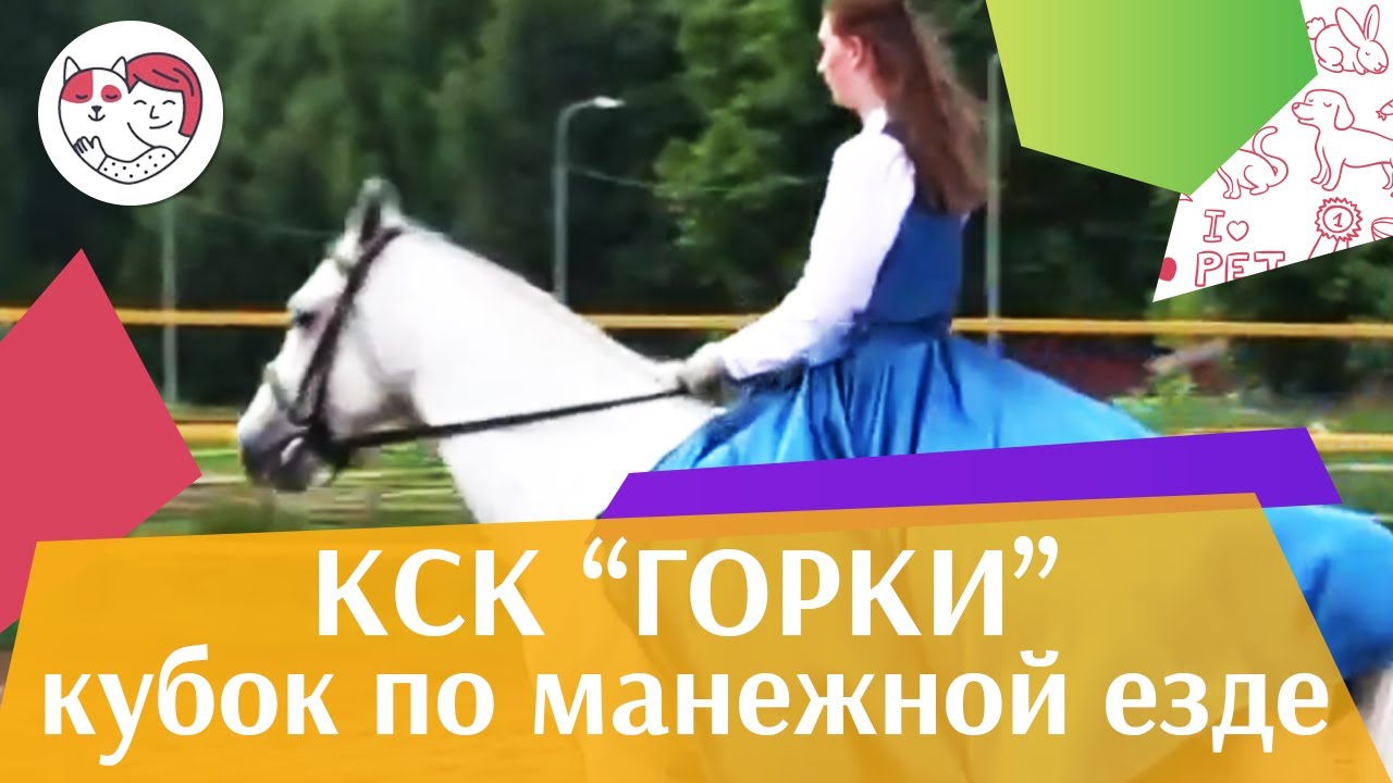 питомцы кукол лол Летний кубок КСК Горки по манежной езде КЮР часть 37 на ilikepet