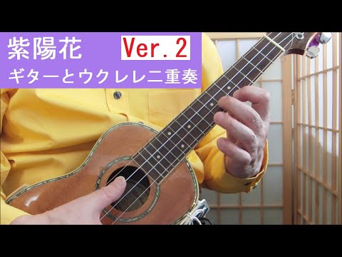 紫陽花 ver.2：元いちむじん山下俊輔さんのギターとウクレレ二重奏：Ajisai(hydrangea)： Mr. Shunsuke Yamashita's guitar + ukulele duet