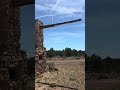 Weird Stuff In The Woods