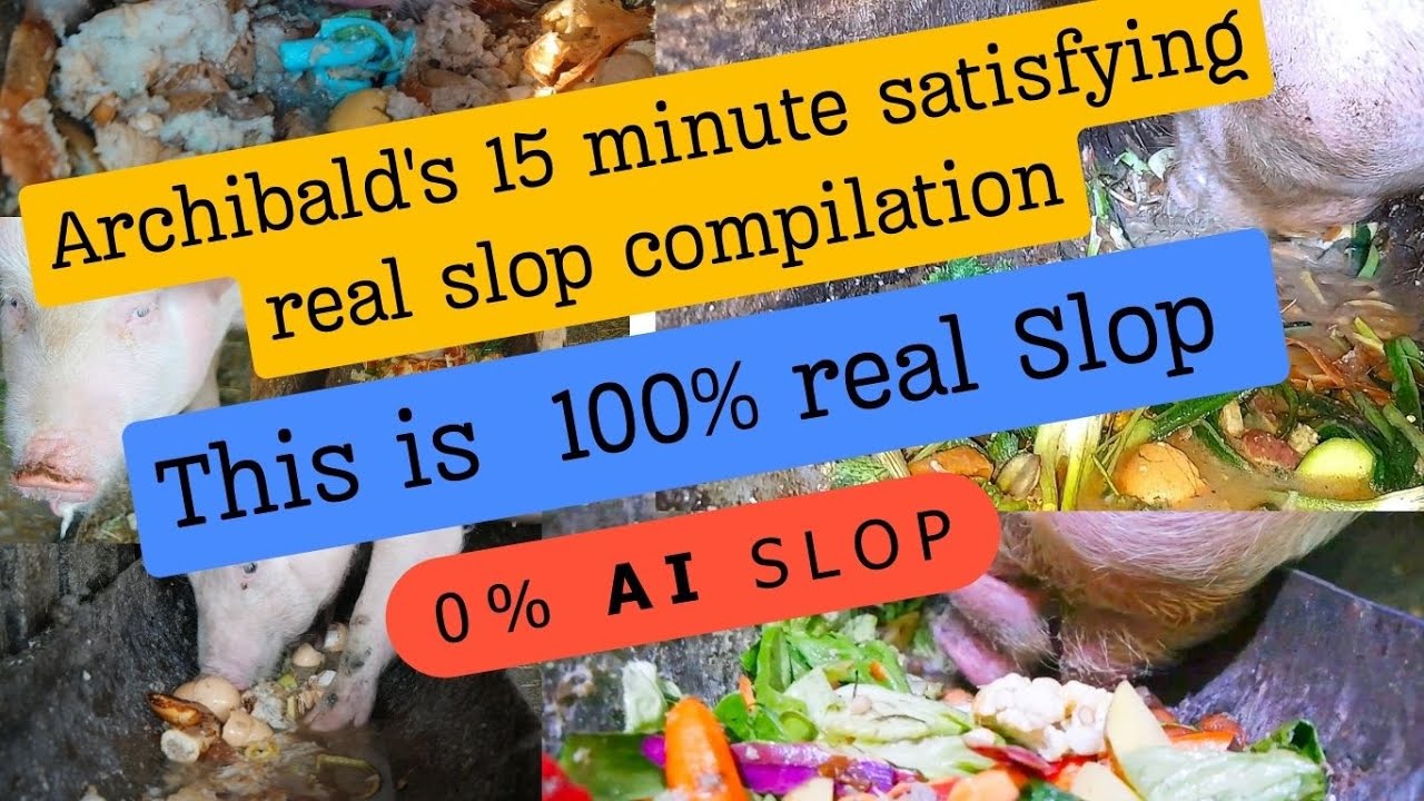 Forget AI slop! Archibald's 15 minute satisfying real slop compilation ...