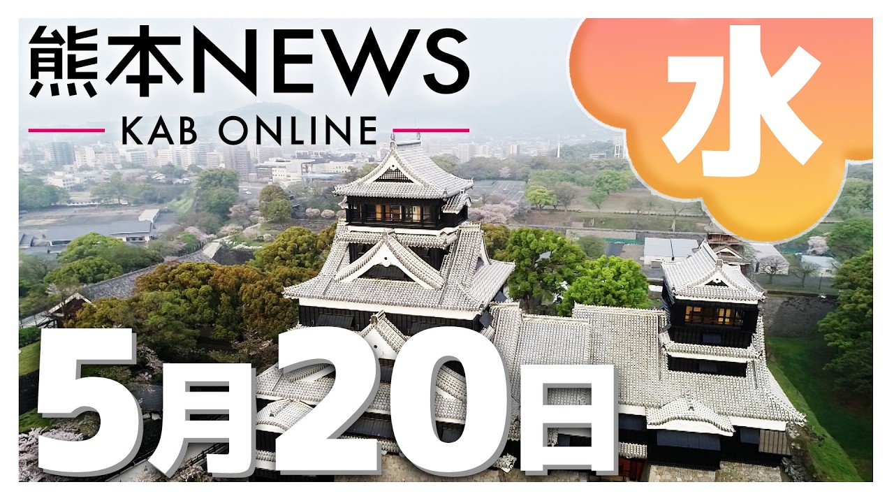 ※超特盛大量割引※最後まで読むとプレゼント　熊本県阿蘇産棘なしタラの根　400本 熊本NEWS】5月20日(水)まとめ～ミカン用のコンテナ大量盗難・熊本県で7
