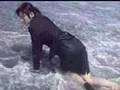 Japanese WETLOOK movie in the sea.( DVD's sample movie )