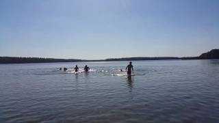 شنا کردن بچه ها در دریاچه های  فنلاند