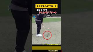 【ふんわりアプローチ】ボールとの距離、バンスの使い方を見て覚える