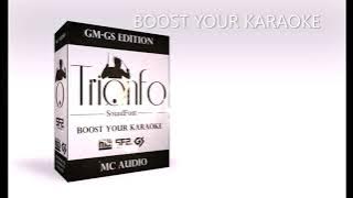Trionfo Soundfont 2.0 midi mix mp3 (P. LION.Happy children) experimental