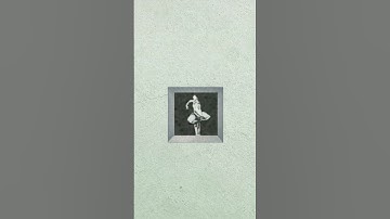 F . C . T . F . C . S / Circle Machine #analogsynth #ems #diysynth