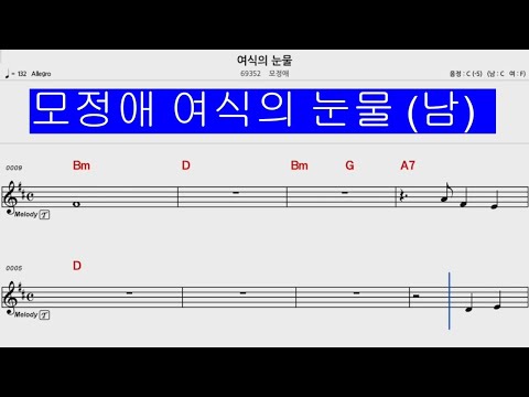 🎸모정애 가요제 🎸여식의 눈물 MR <strong>남자키</strong>