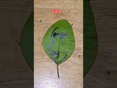 Drawing a simple facr on a leaf from one line #aram_nabeel #shorts #viral #fyp #art simple