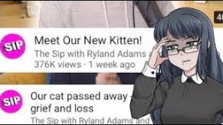 The (Short) Tale Ryland Adams and Shane Dawson's Kitten