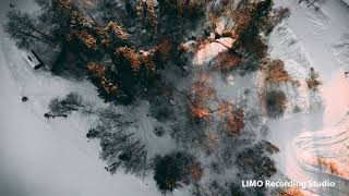 A Quiet Thought - Wayne Jones