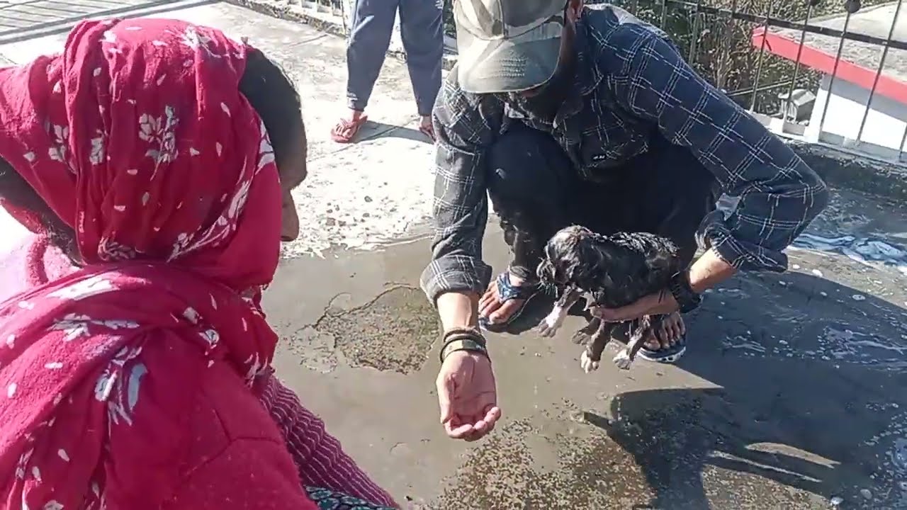 First time giving my cute puppy a bath! 🛁🐶 | So cute 