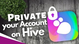 How to private your account on Hive Social App screenshot 2