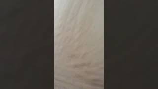 Tails pee hiself 😨😨😨😨😨😨😨😨 [MOST VIEWED ]