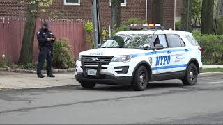 NYPD seeks man after 4 Riverdale synagogues vandalized
