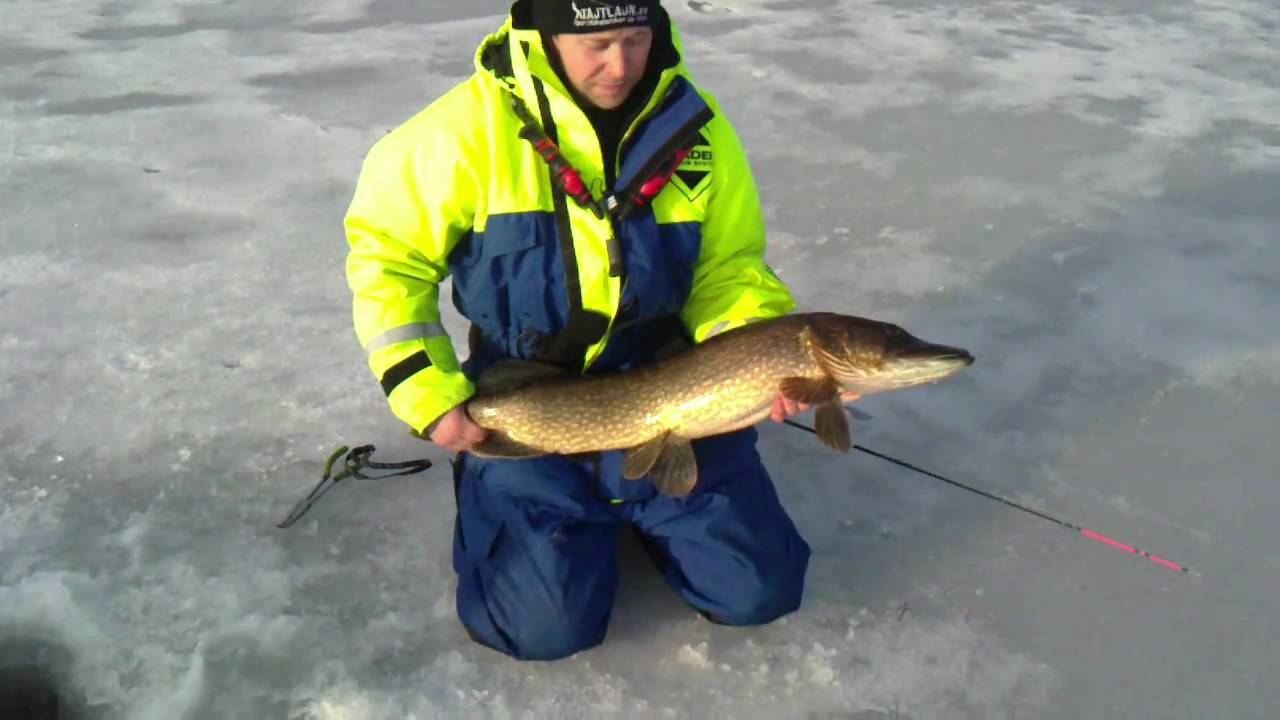 Ice fishing for northernpike YouTube