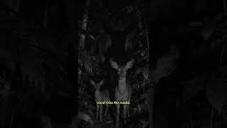 Repara bem no fundo....  #darkk #mistério #assustador #creepy #foryou #medo #paranormal #suspense