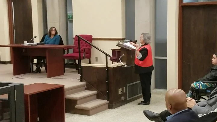 Erie's Cindy Purvis addresses McBride Viaduct befo...