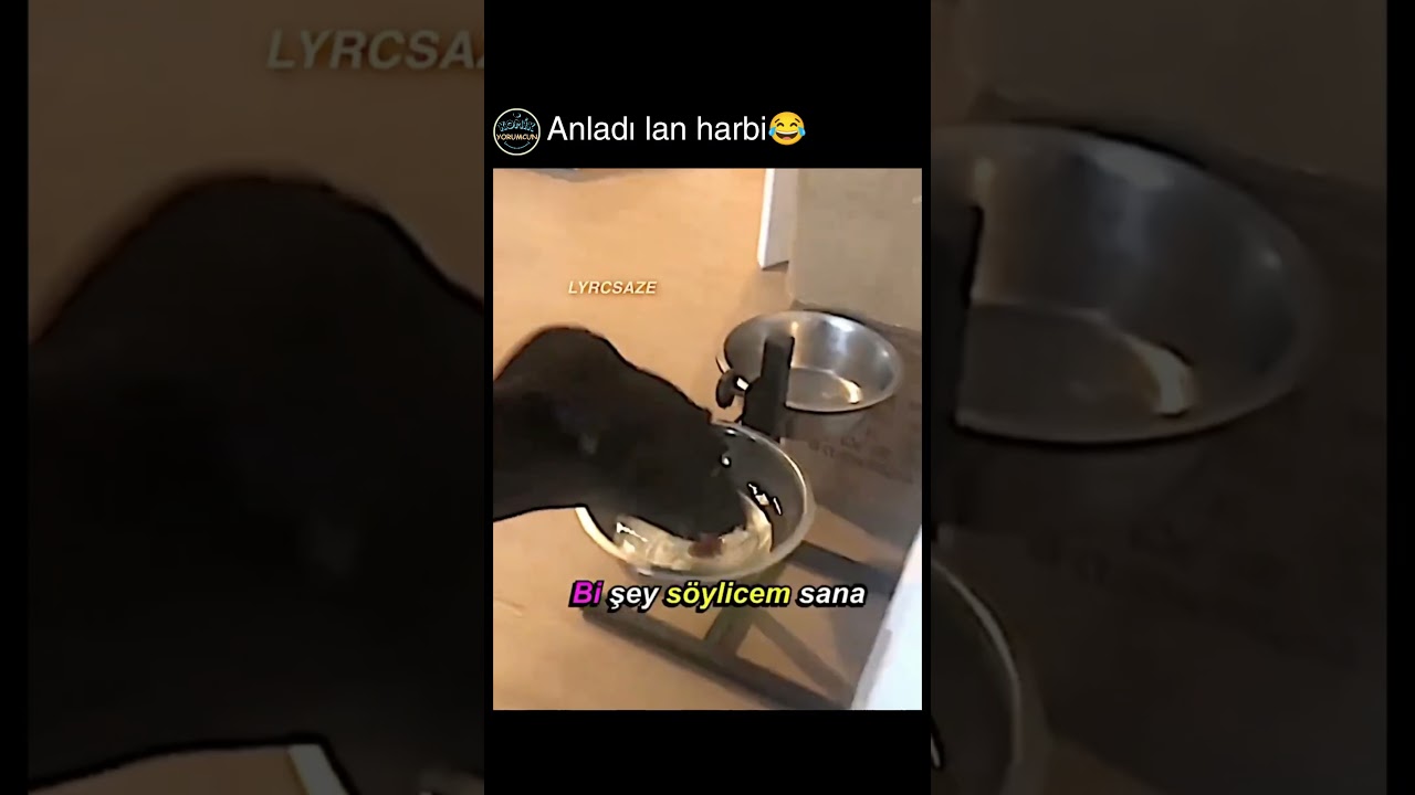 alindi biraz sanki oy😂