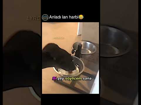 alindi biraz sanki oy😂