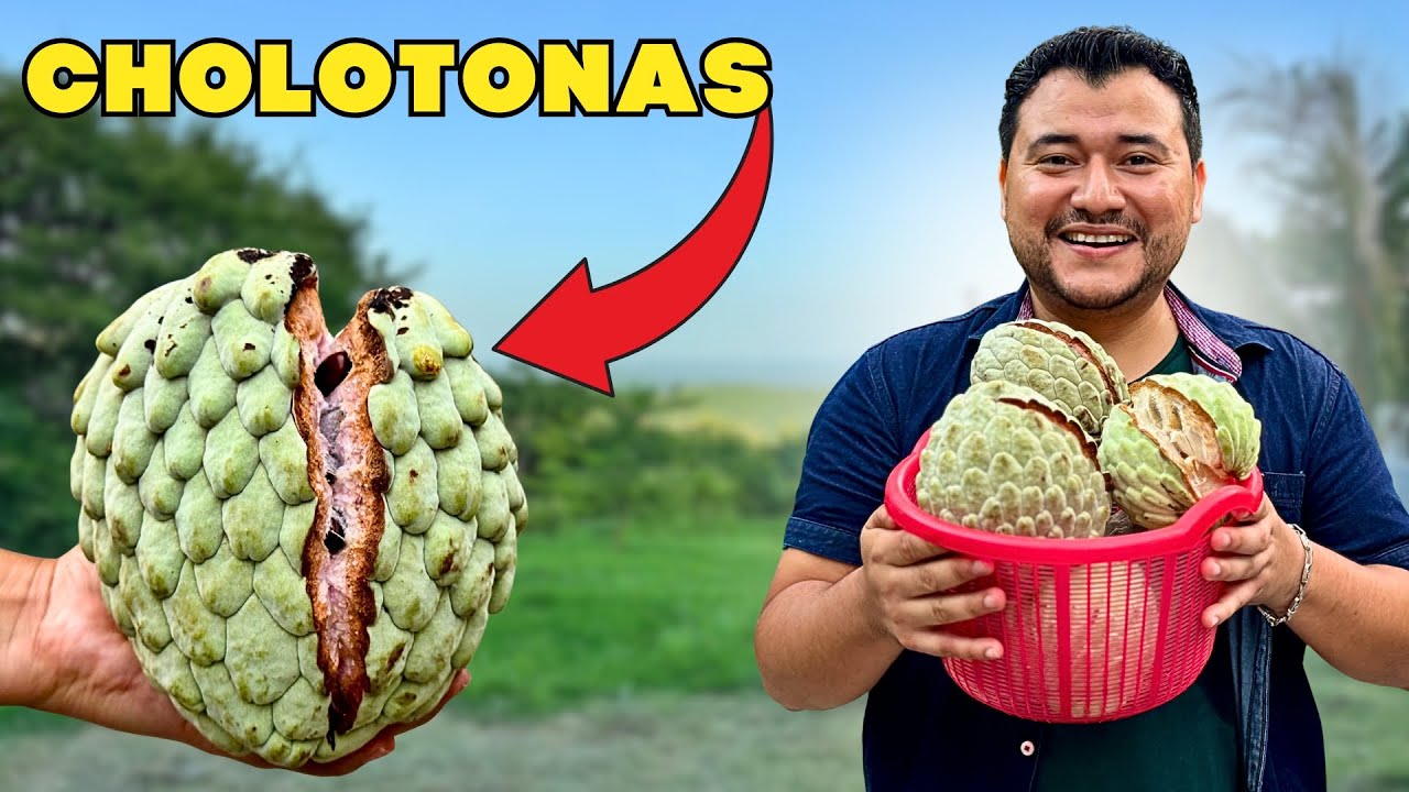 EL PRECIO REAL DE LAS ANONAS en EL SALVADOR | Festival de la anona 2025