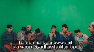Download Lagu Lalaran Nadzom Awwamil full lirik, ala santri Riyadhussholihin Bpc MP3