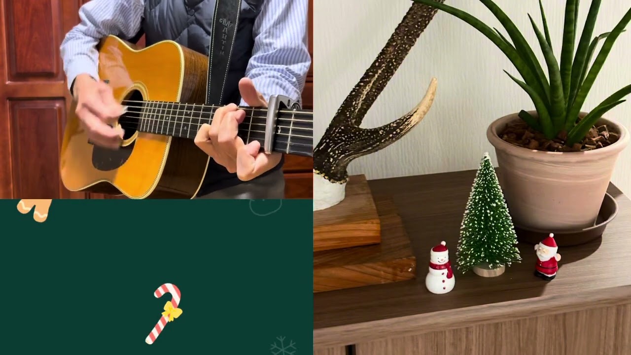 【安奈】甲斐バンド／アコギ弾き語り／cover