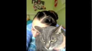 Funny Hissing Cat Video - Robbie And Jilly