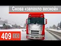 $409 Scania S500 Ноу хау Латышских погранцов!!! Жесткое нарушение режима труда и отдыха)))