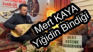 Mert KAYA 2023 / Yiğidin Bindiği Arap Atıdır / KIRIKKALE CANLI MÜZİK Resimi