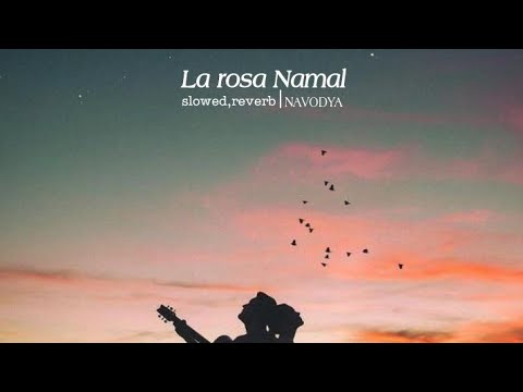 La rosa namal slowedreverb   