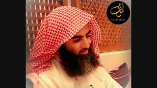 Шейх Мухаммад Аль Люхайдан сура-96 Аль 'Аляк (сгусток крови)