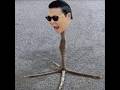 DAM