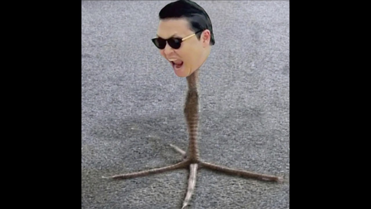 DAM