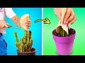Easy Way to Transplant a Cactus 🌵 Plant-Care Hacks You Need to Know