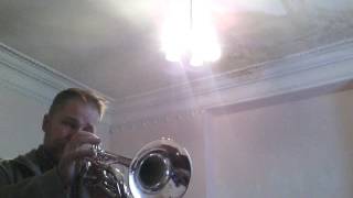 Prisoners' Chorus from ''Nabucco'' (Chor der Gefangenen). G. Verdi. Trumpet solo.