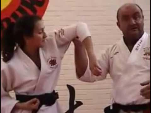 Goshin Ju Jitsu The Billy Doak Experience
