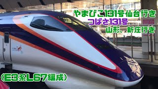 やまびこ131号仙台行き、つばさ131号 山形、新庄行き E2系1000番台J編成 E3系2000番台L67編成 東京駅 21番線出発シーン @東京駅