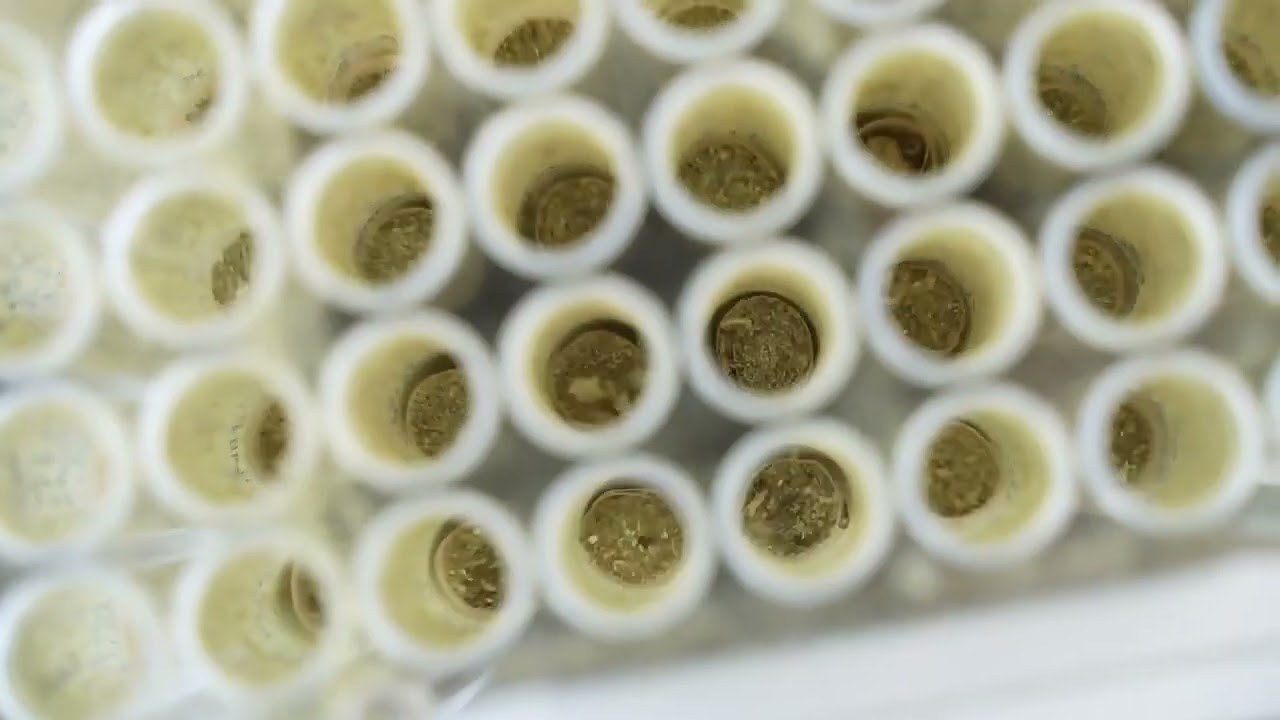 Maywaysky 50 Cone Filling Machine King Size Cone Filler For 60mm/70mm/84mm/98mm/109mm Cone